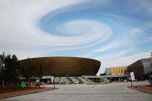 星空体育app体验棒-高校体育场馆智能运营系统设计研究，高校体育场馆现状