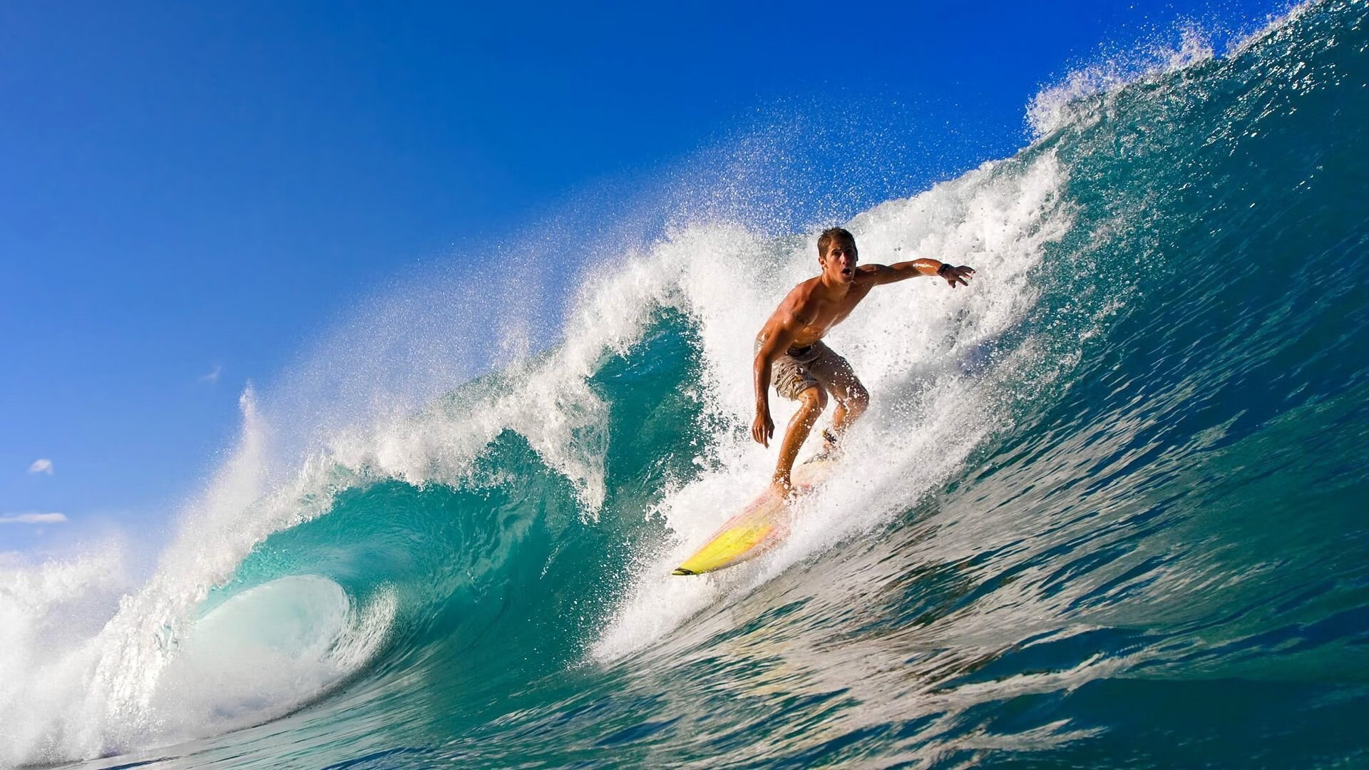 星空入口官网-南非橄榄球商业化运作逐步走向成熟，市场前景广阔，南非 橄榄球