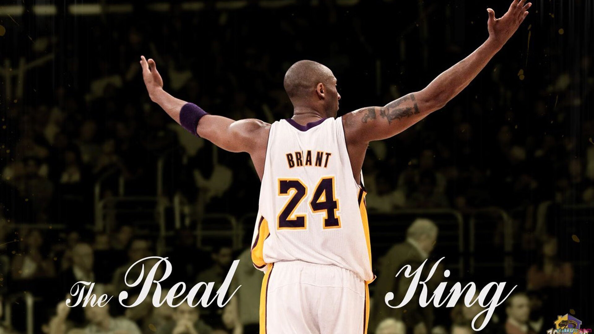 国王训练日程公开媒体争相报道,国王运动