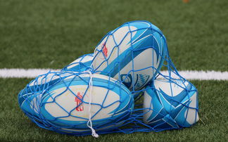 星空体育平台官网-法国橄榄球赛事的票房和赞助收入创历史新高，法国橄榄球国家队